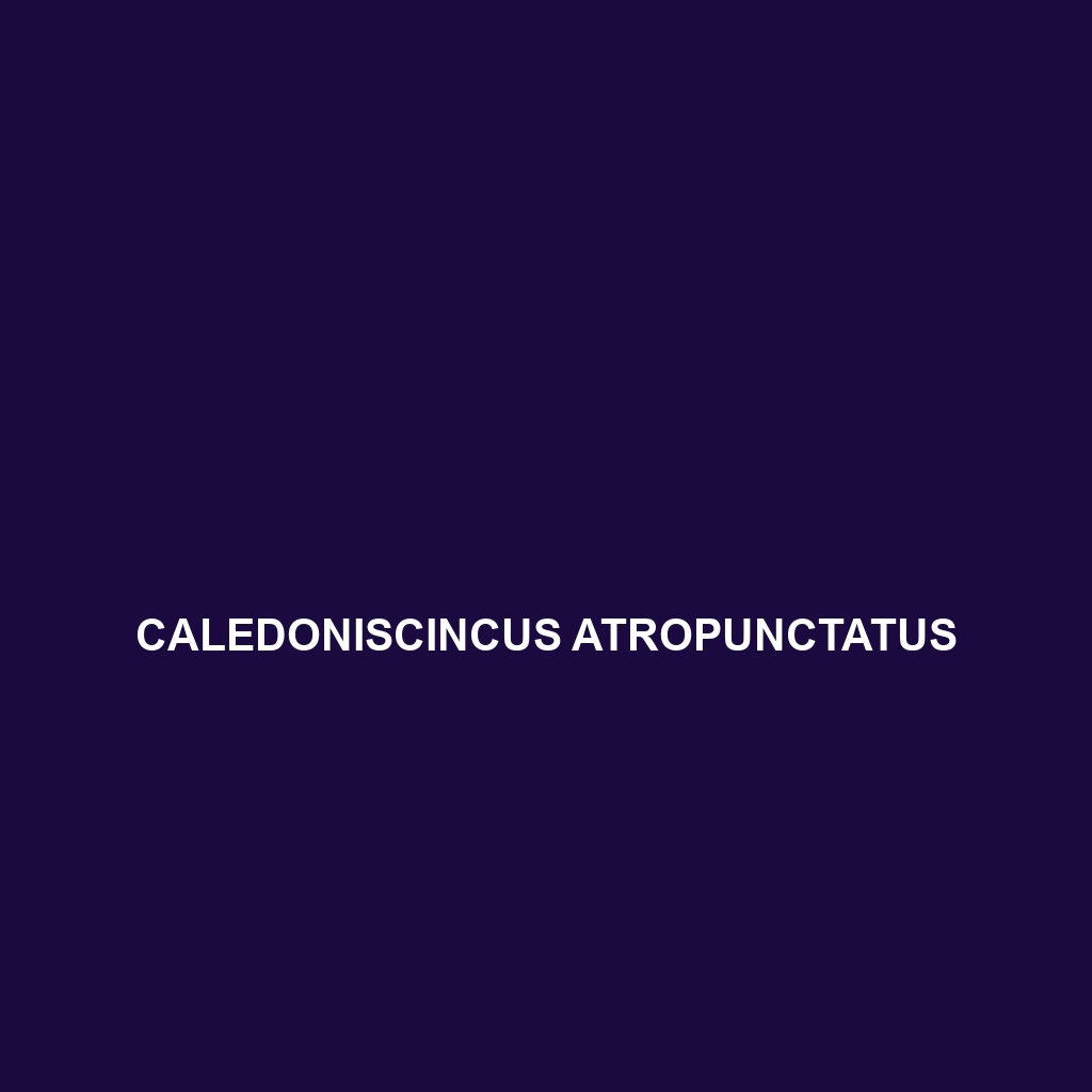 Caledoniscincus aquilonius