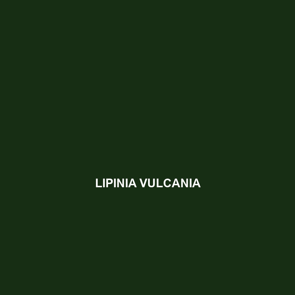 Lipinia vulcania