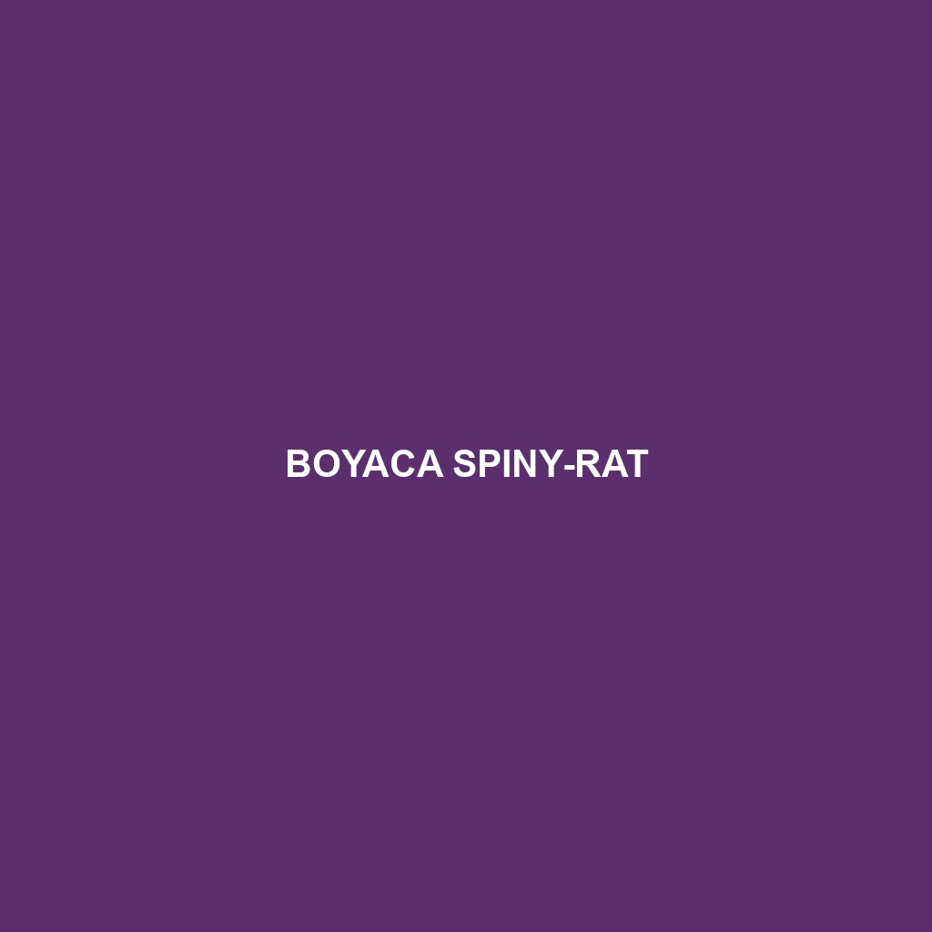 Boyaca Spiny-rat