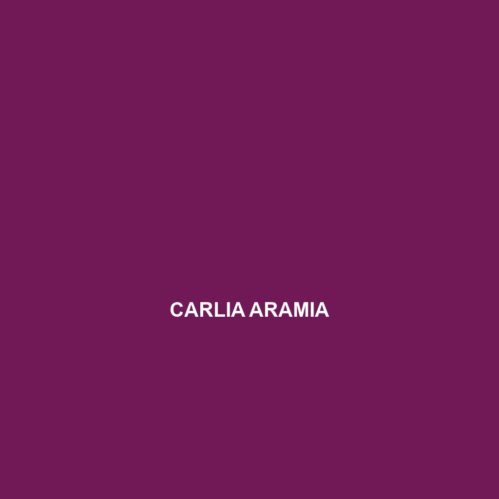 Carlia amax