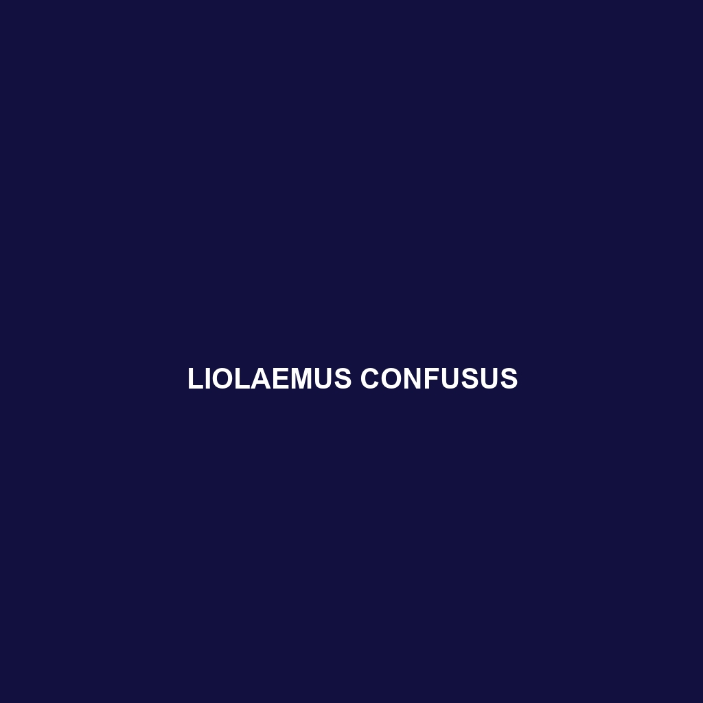 Liolaemus confusus