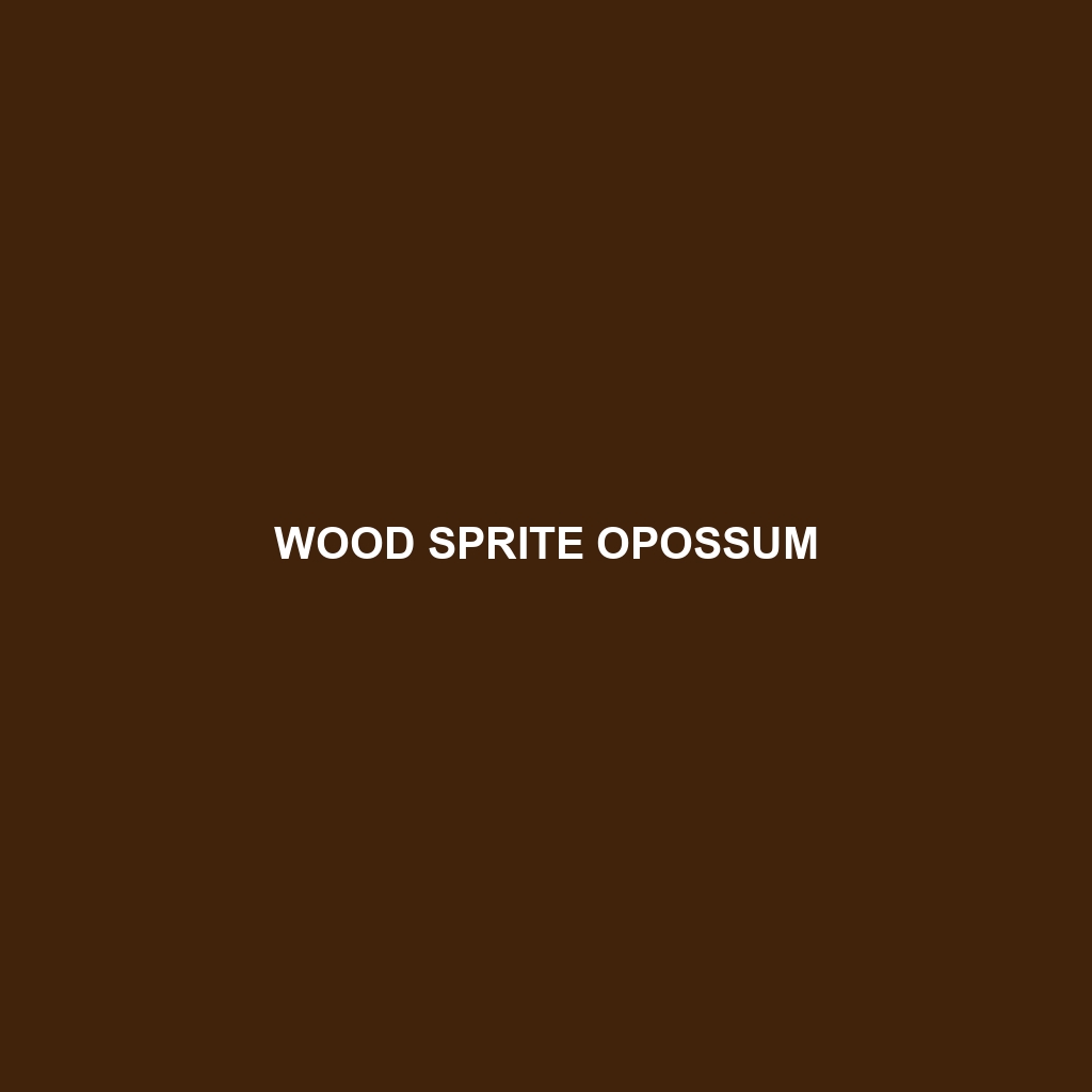 Wood Sprite Opossum