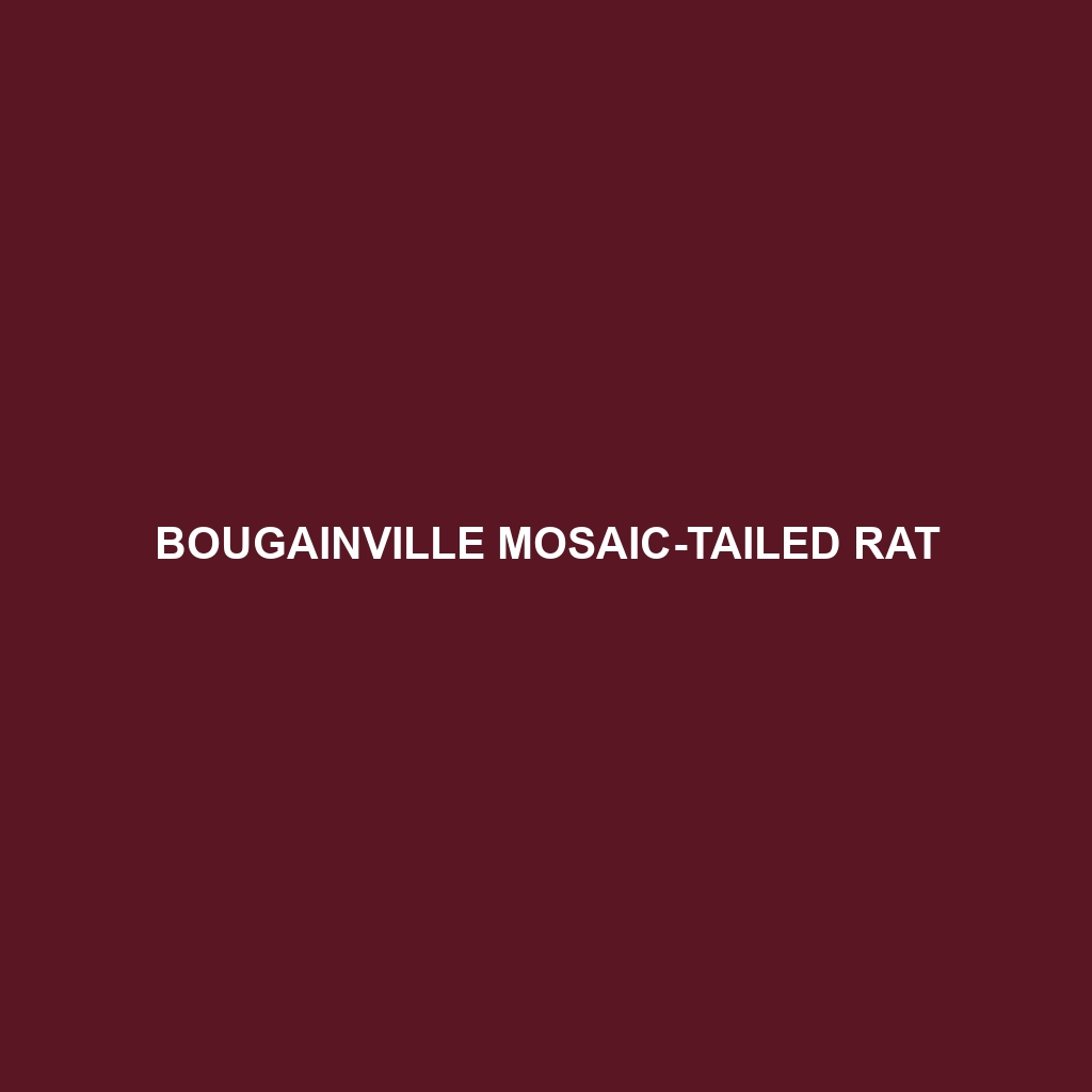 Bougainville Mosaic-tailed Rat