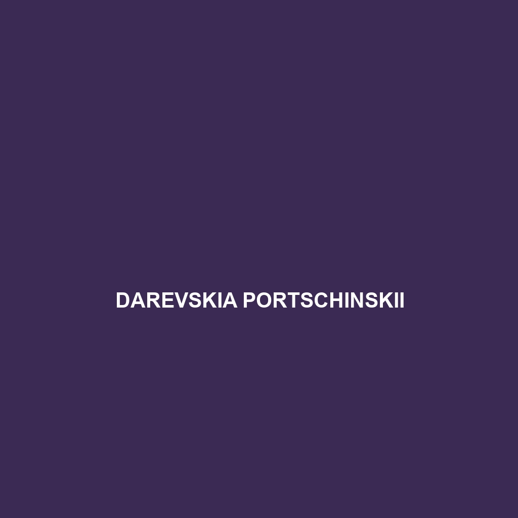 Darevskia portschinskii