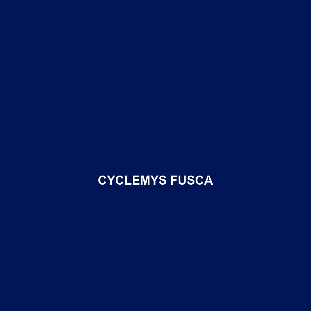 Cyclemys fusca