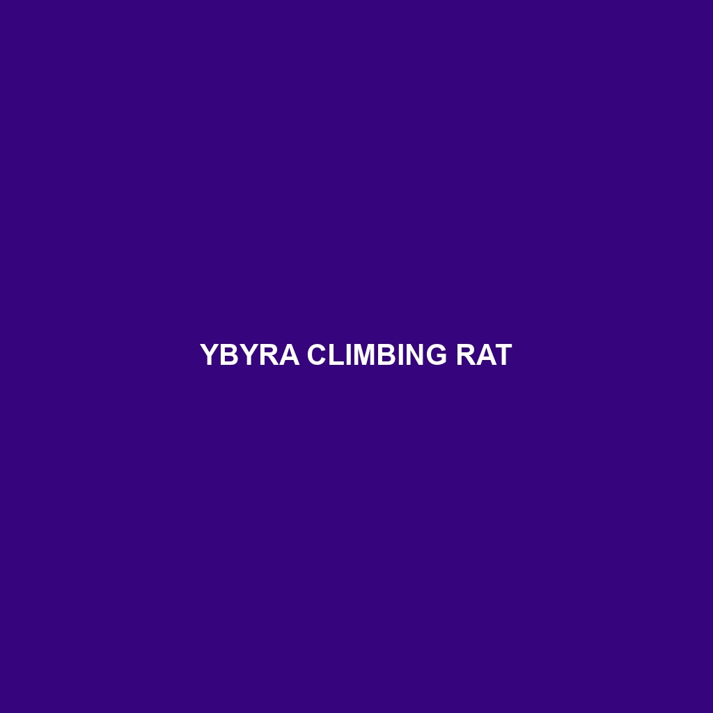 Ybyra Climbing Rat