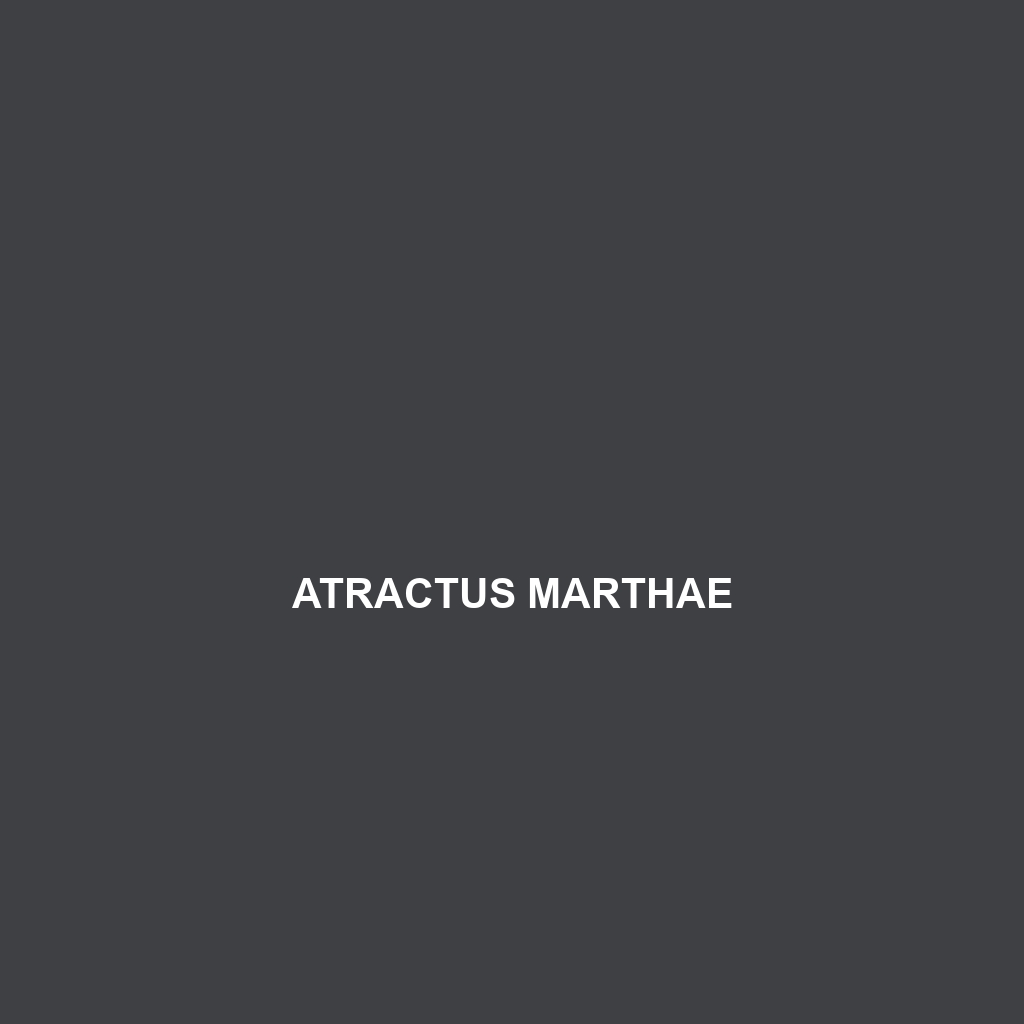 Atractus marthae