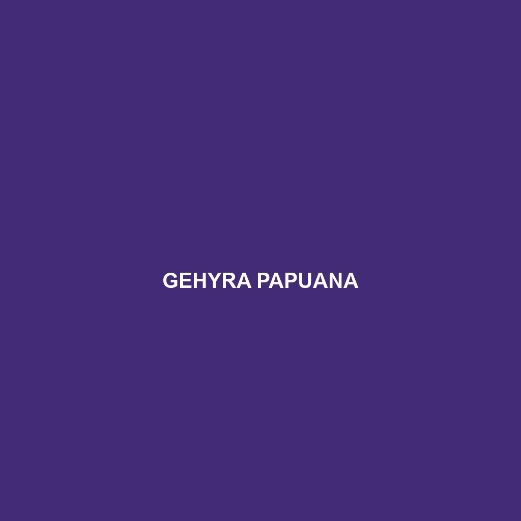 Gehyra papuana