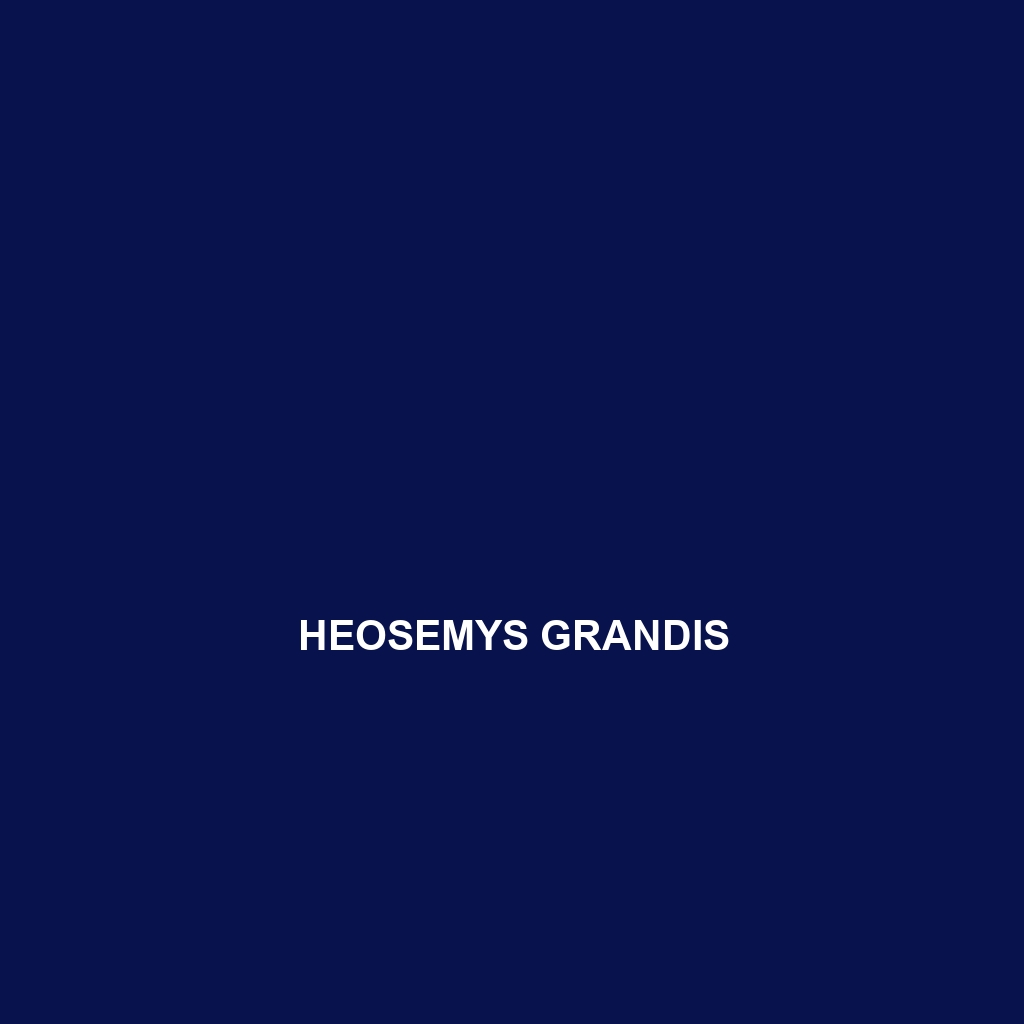 Heosemys grandis