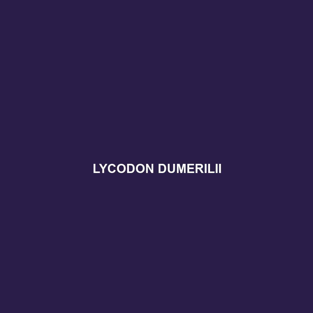 Lycodon dumerilii