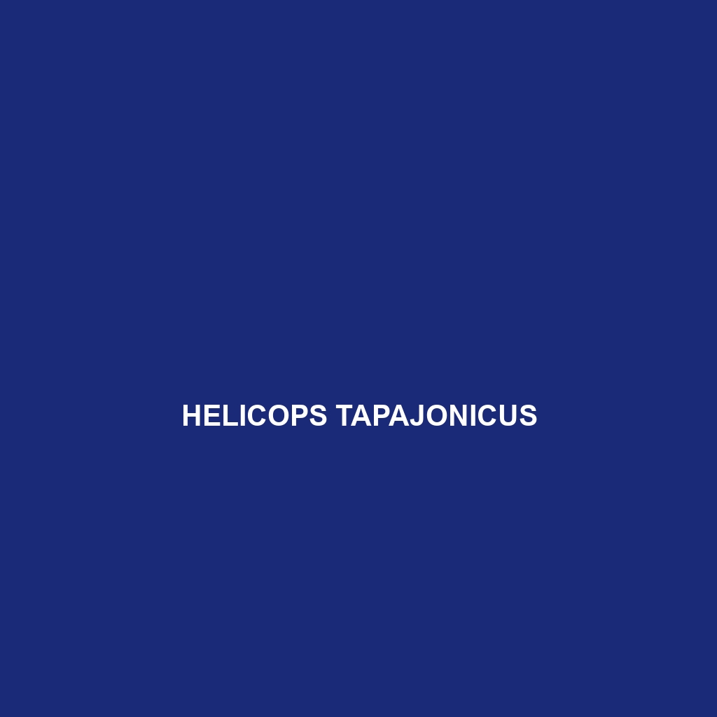 Helicops tapajonicus