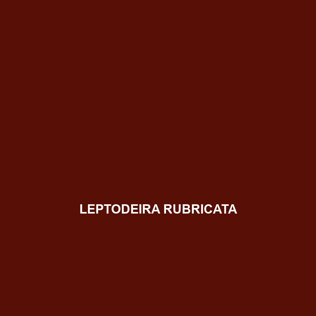 Leptodeira rubricata