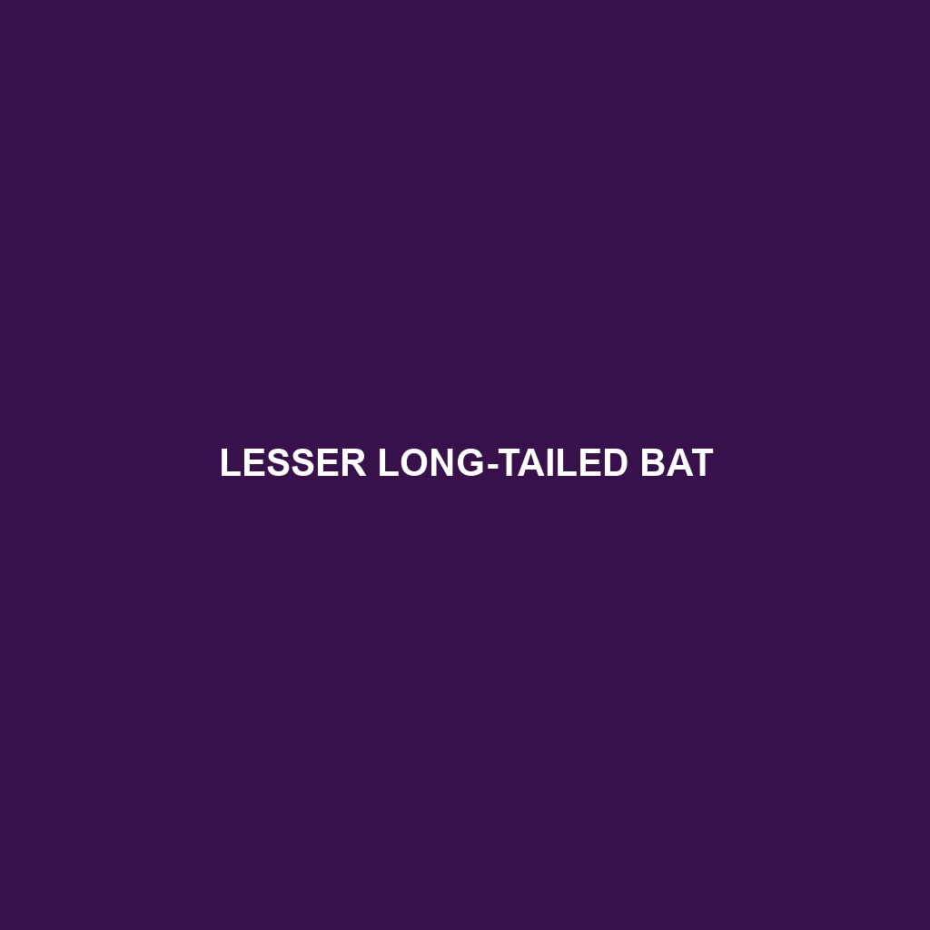 Lesser Long-tailed Bat