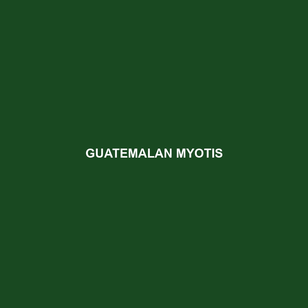 Guatemalan Myotis