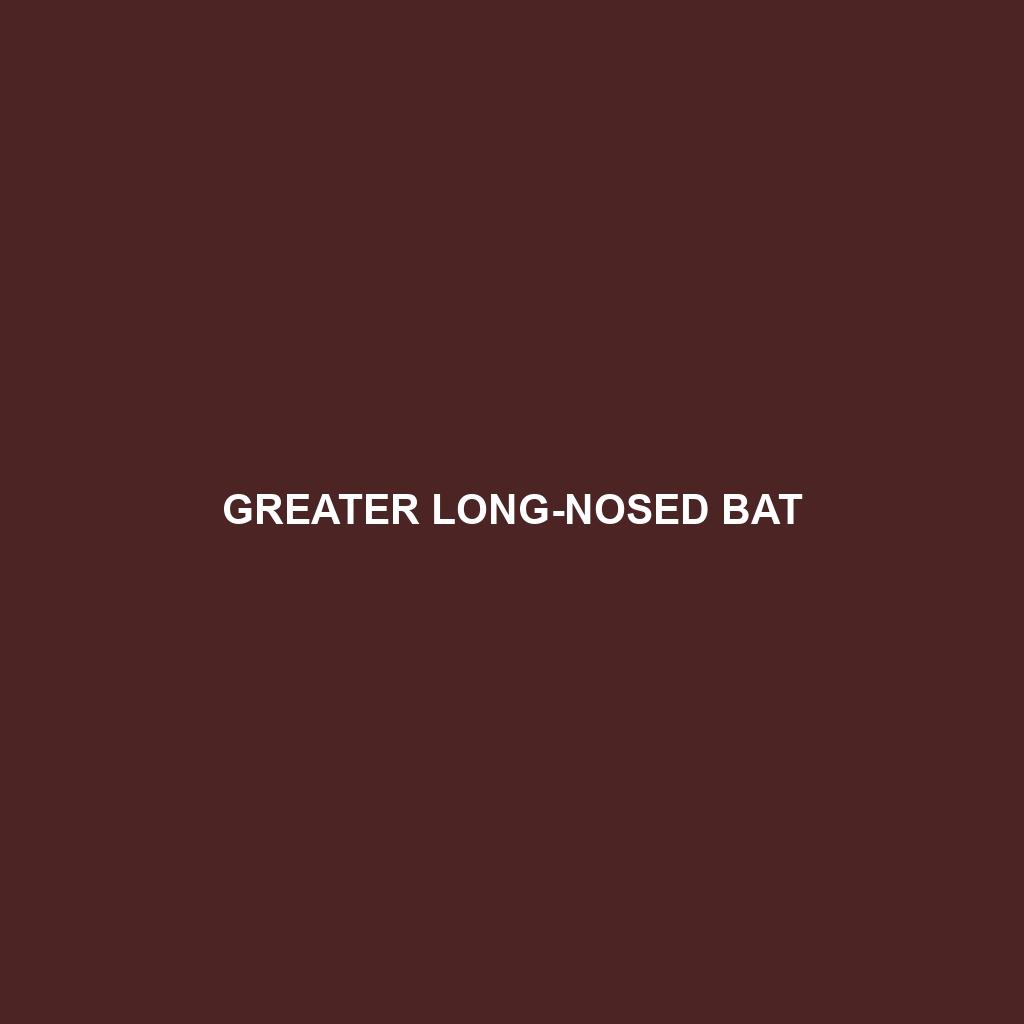 Greater Long-nosed Bat