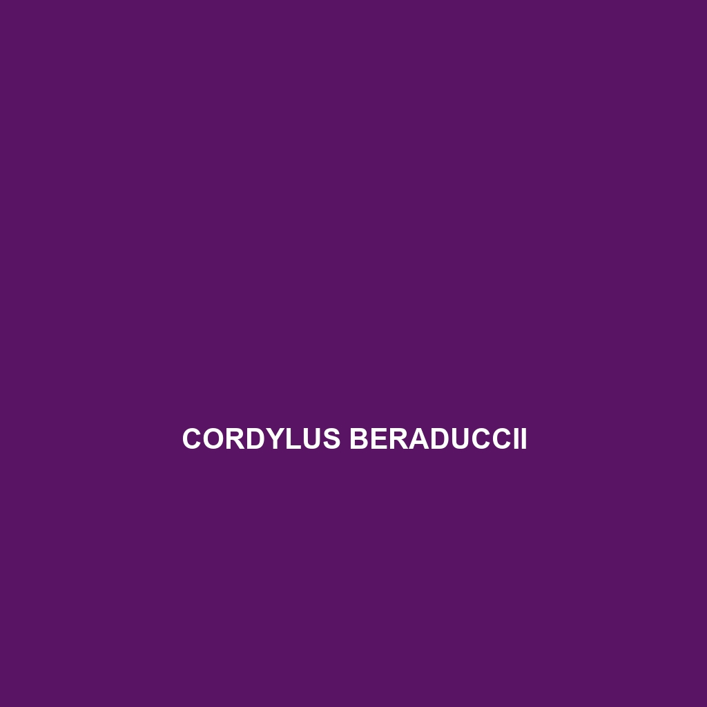 Cordylus beraduccii