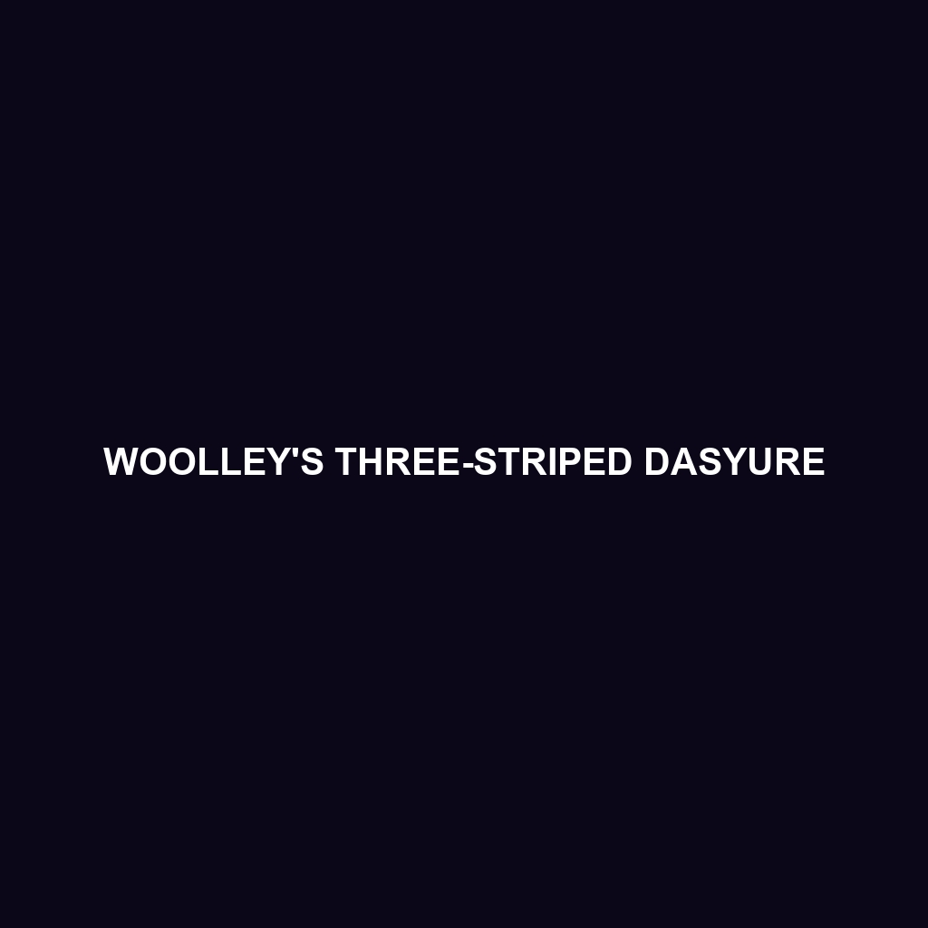 Woolley's Three-striped Dasyure