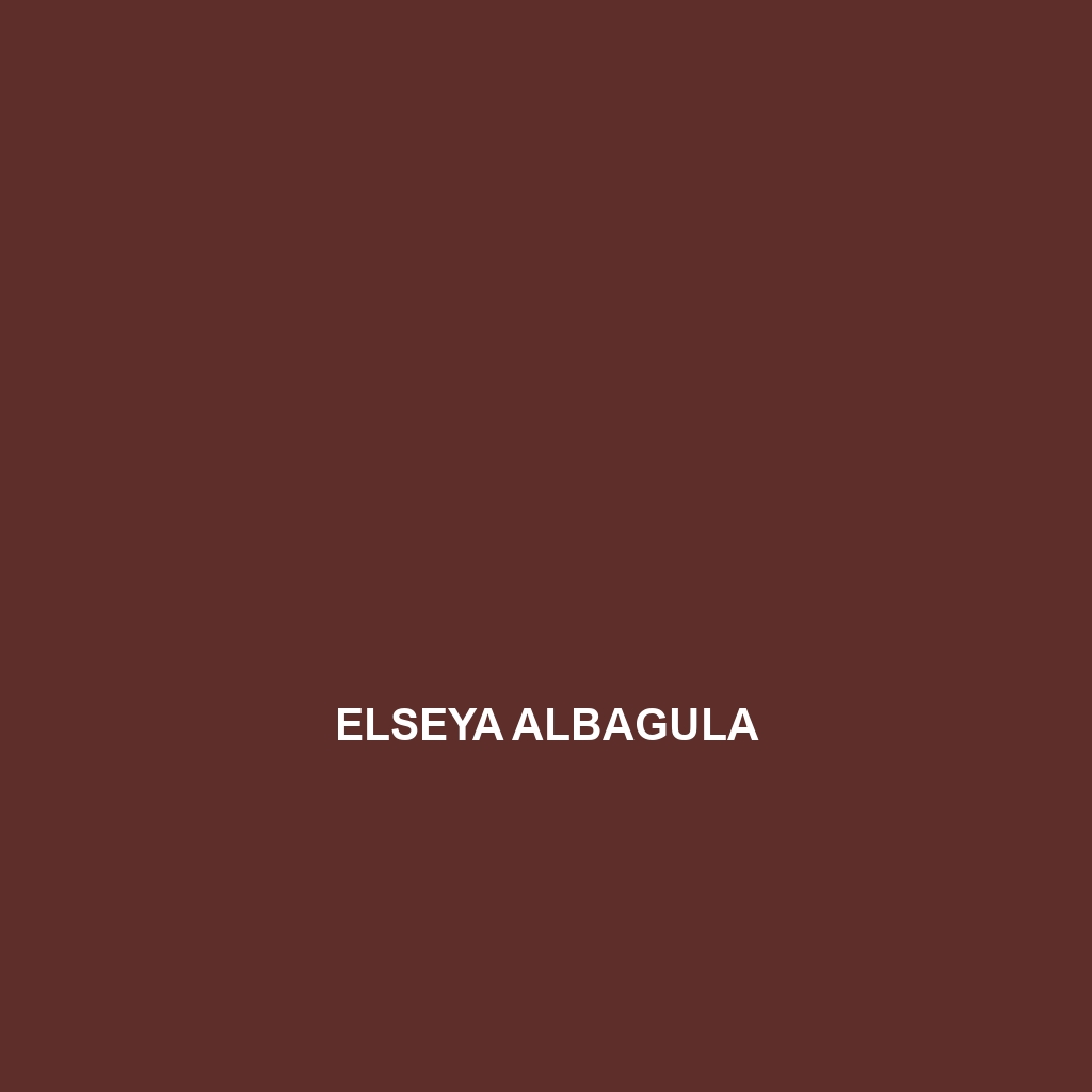 Elseya albagula