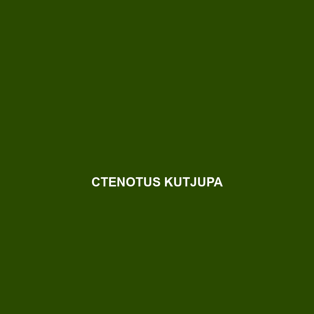 Ctenotus kurnbudj