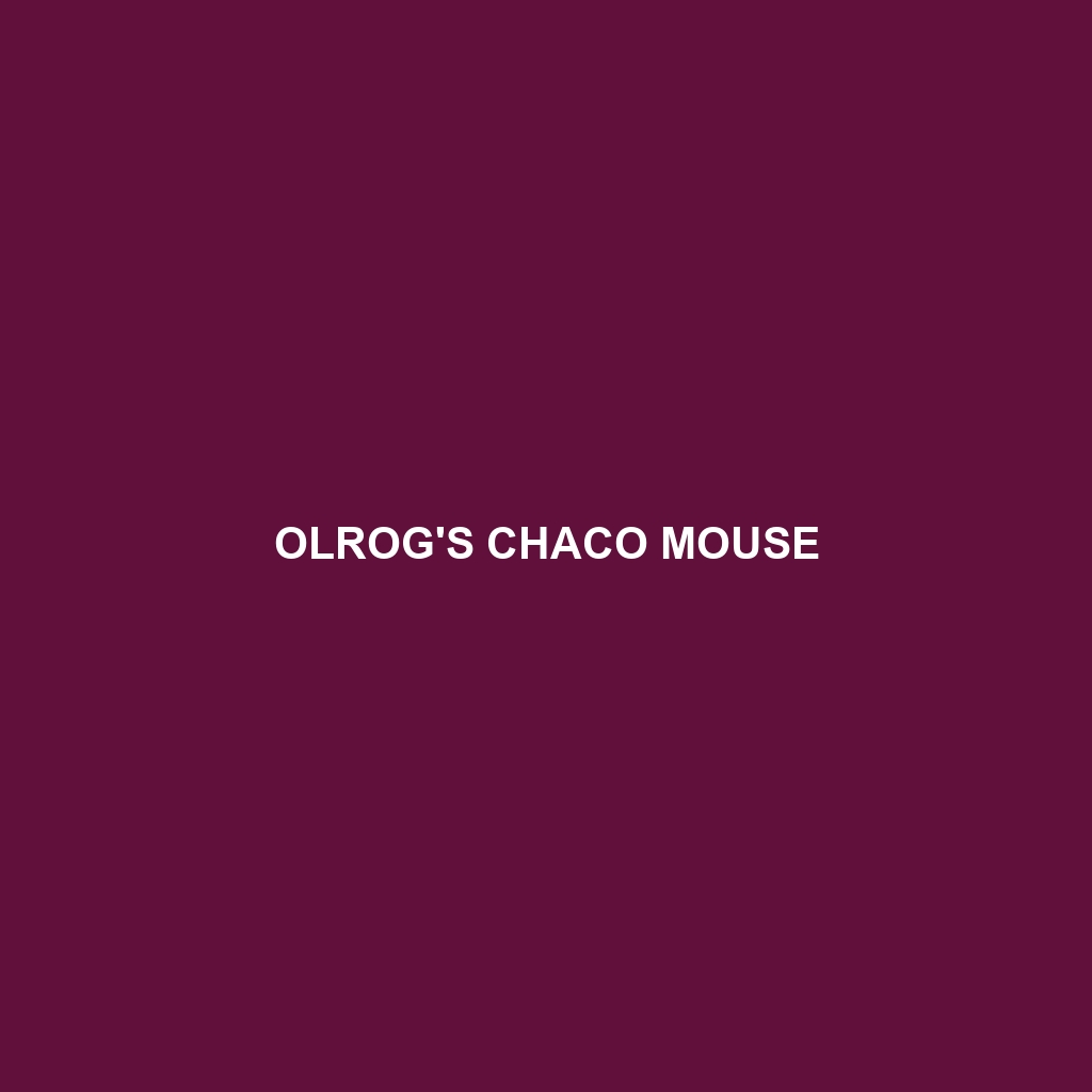 Olrog's Chaco Mouse