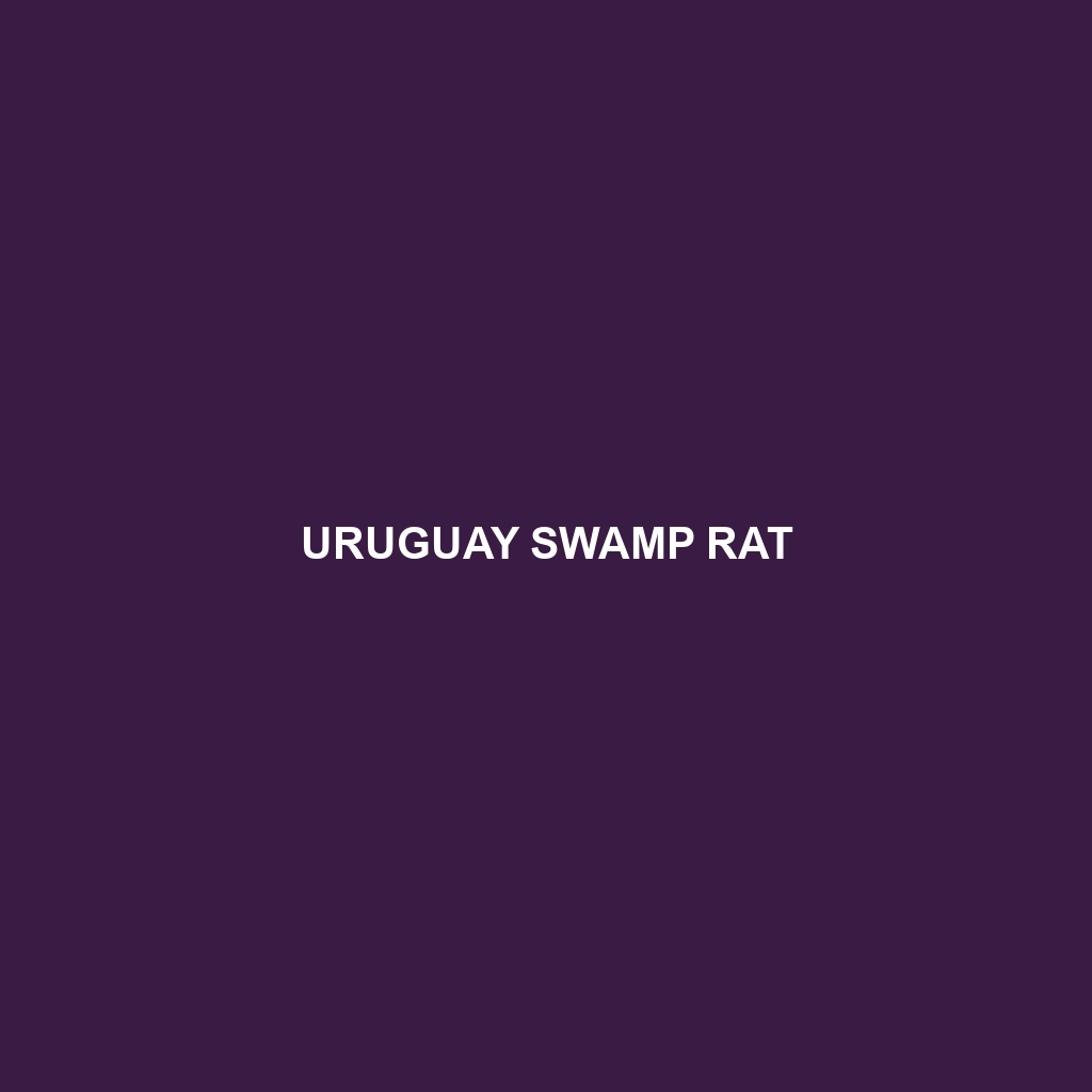 Uruguay Swamp Rat