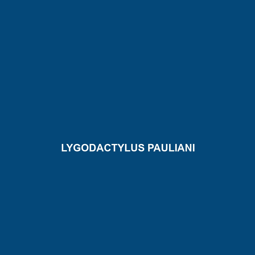 Lygodactylus pauliani