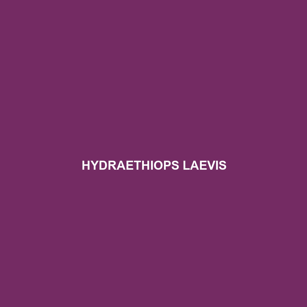 Hydraethiops laevis