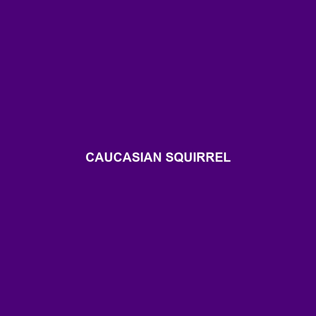 Caucasian Squirrel