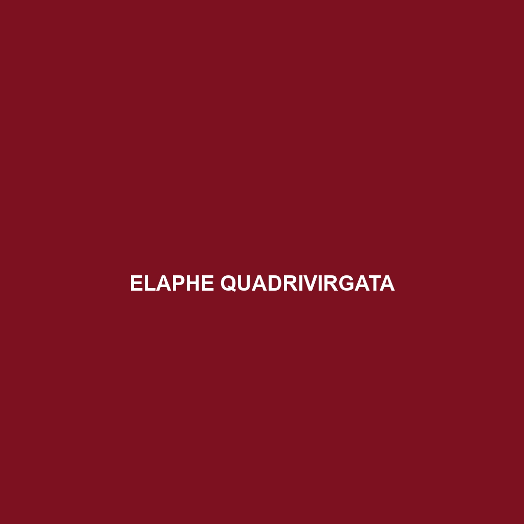 Elaphe quadrivirgata