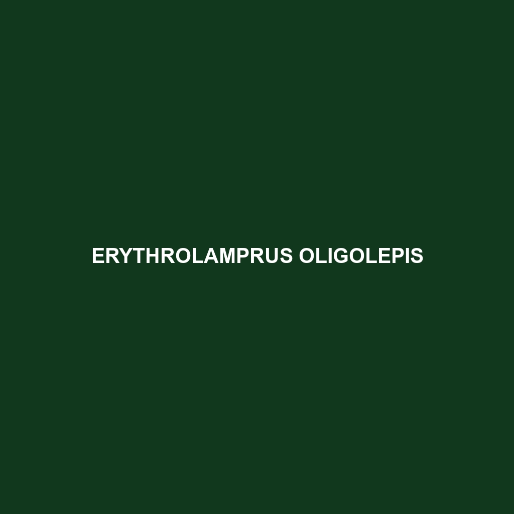 Erythrolamprus oligolepis