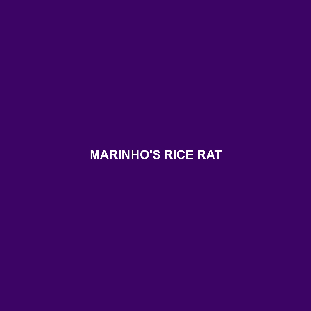 Marinho's Rice Rat