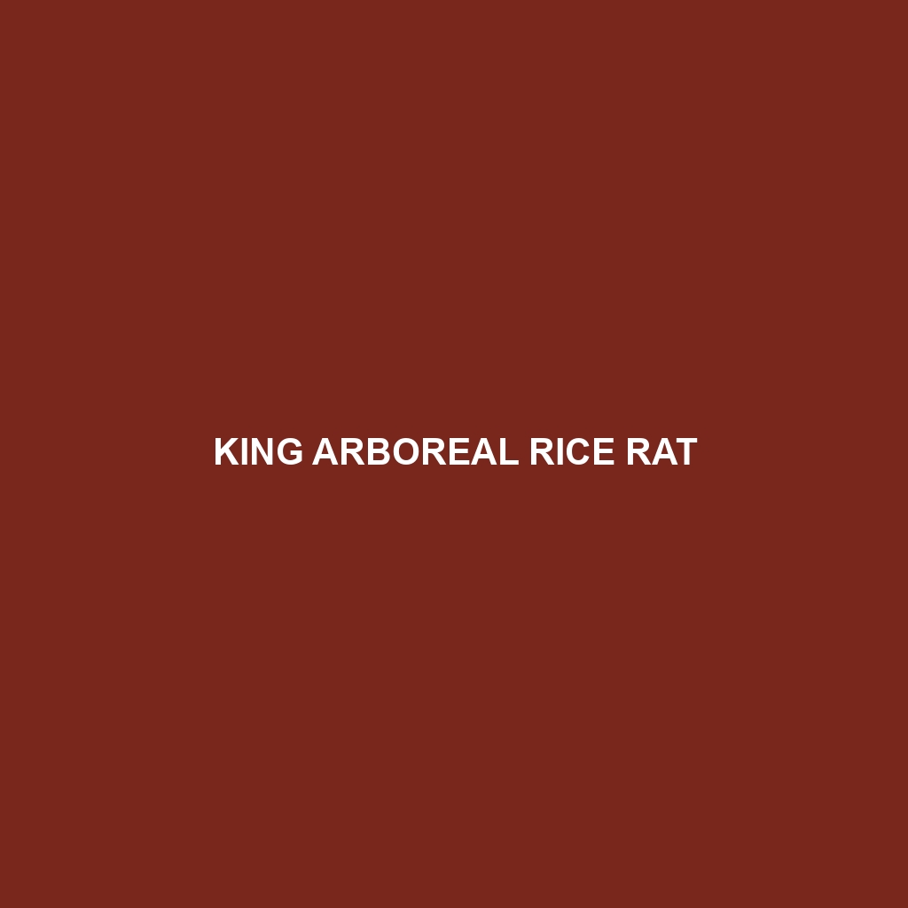 King Arboreal Rice Rat