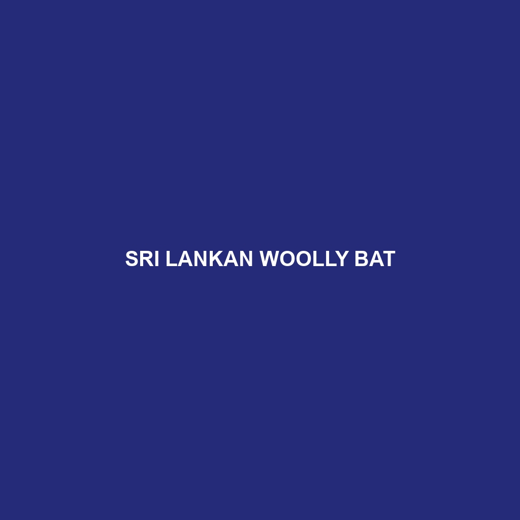 Sri Lankan Woolly Bat