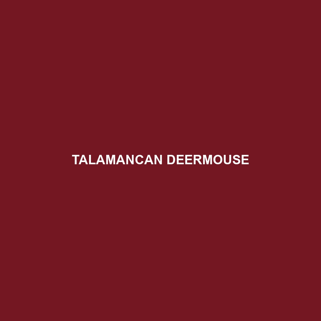 Talamancan Deermouse