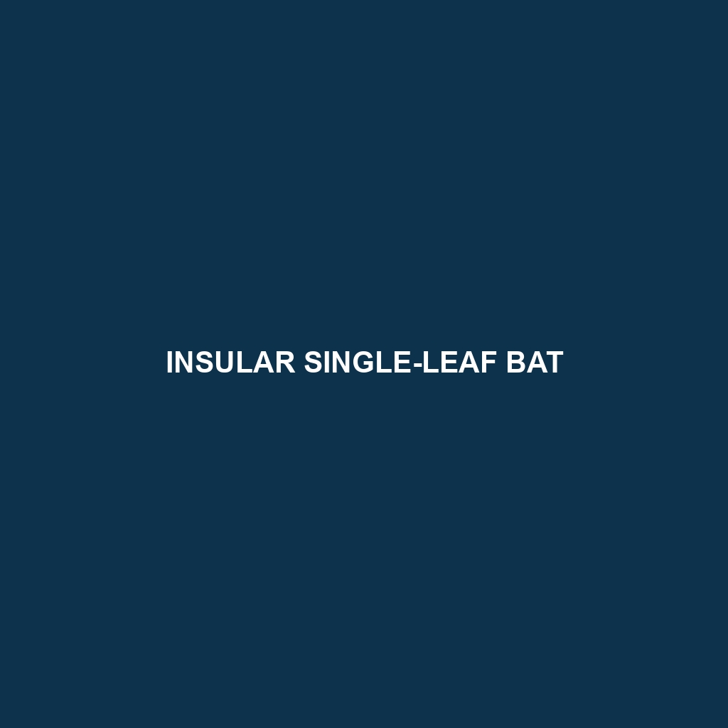 Insular Single-leaf Bat