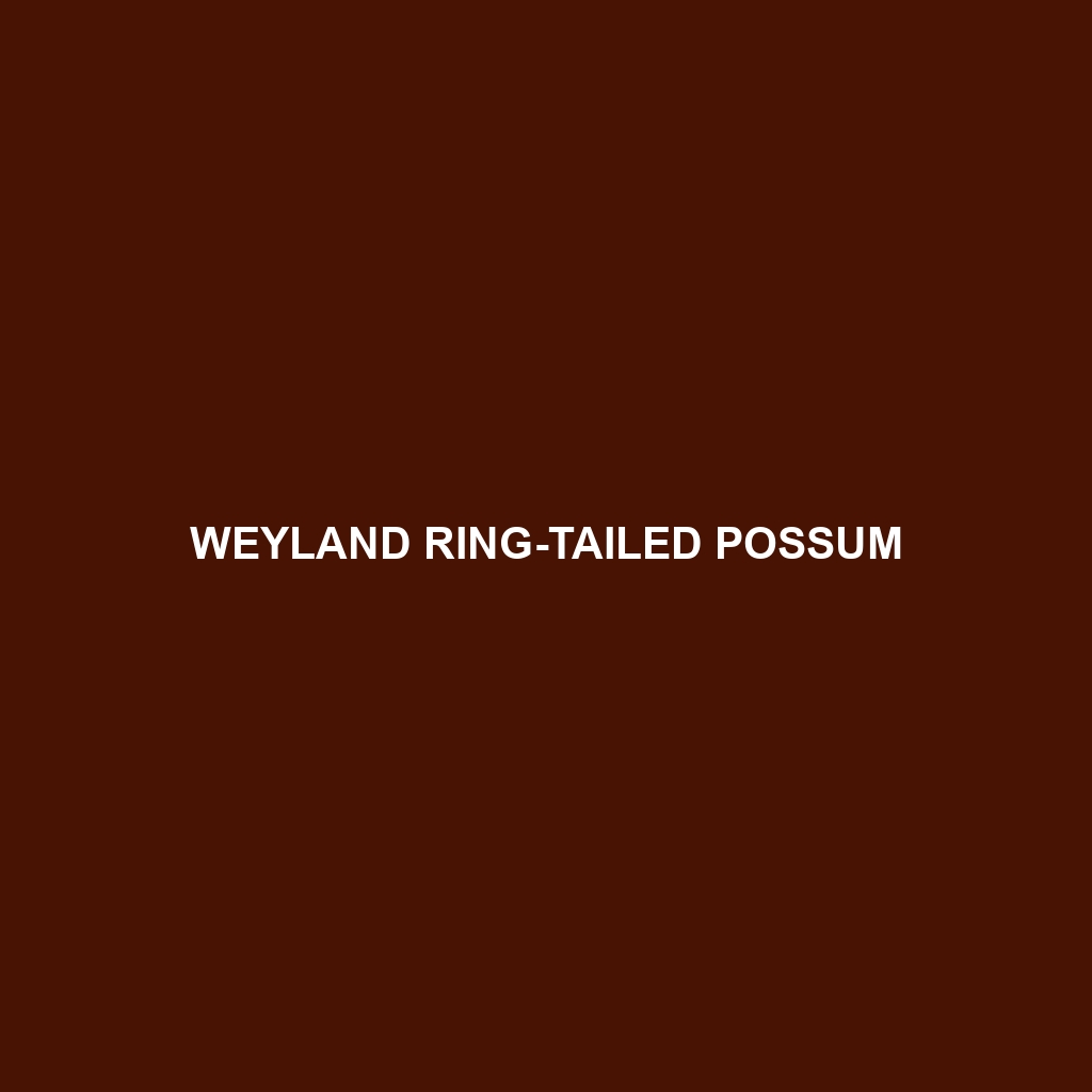 Weyland Ring-tailed Possum