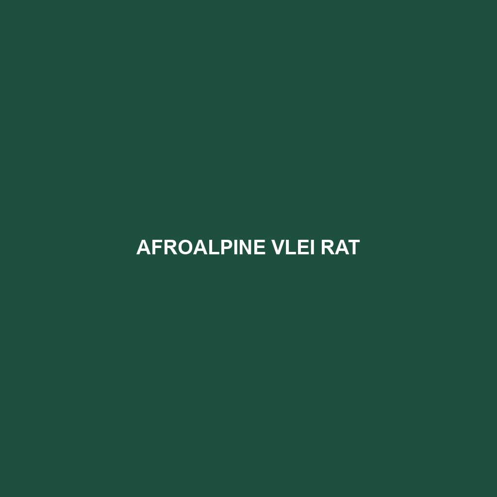 Afroalpine Vlei Rat