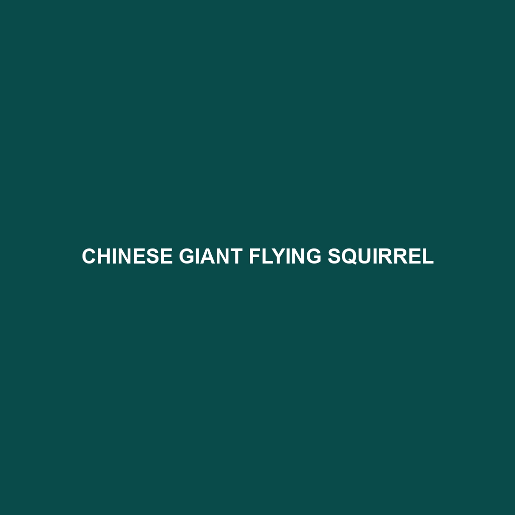 Chinese Giant Flying Squirrel