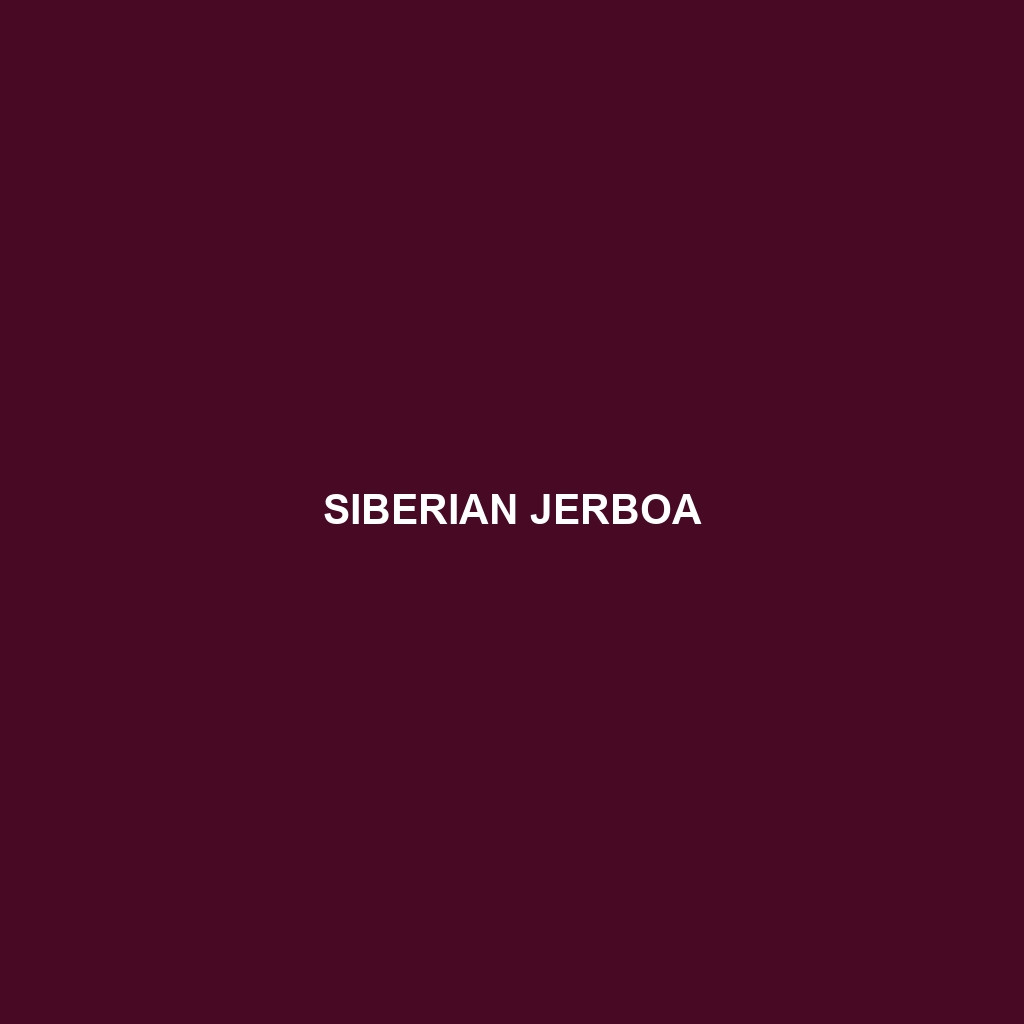 Siberian Jerboa