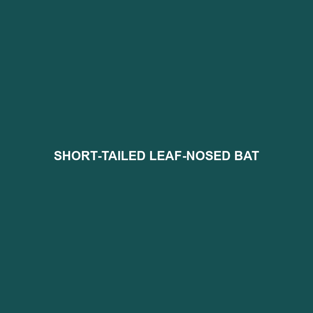 Short-tailed Leaf-nosed Bat