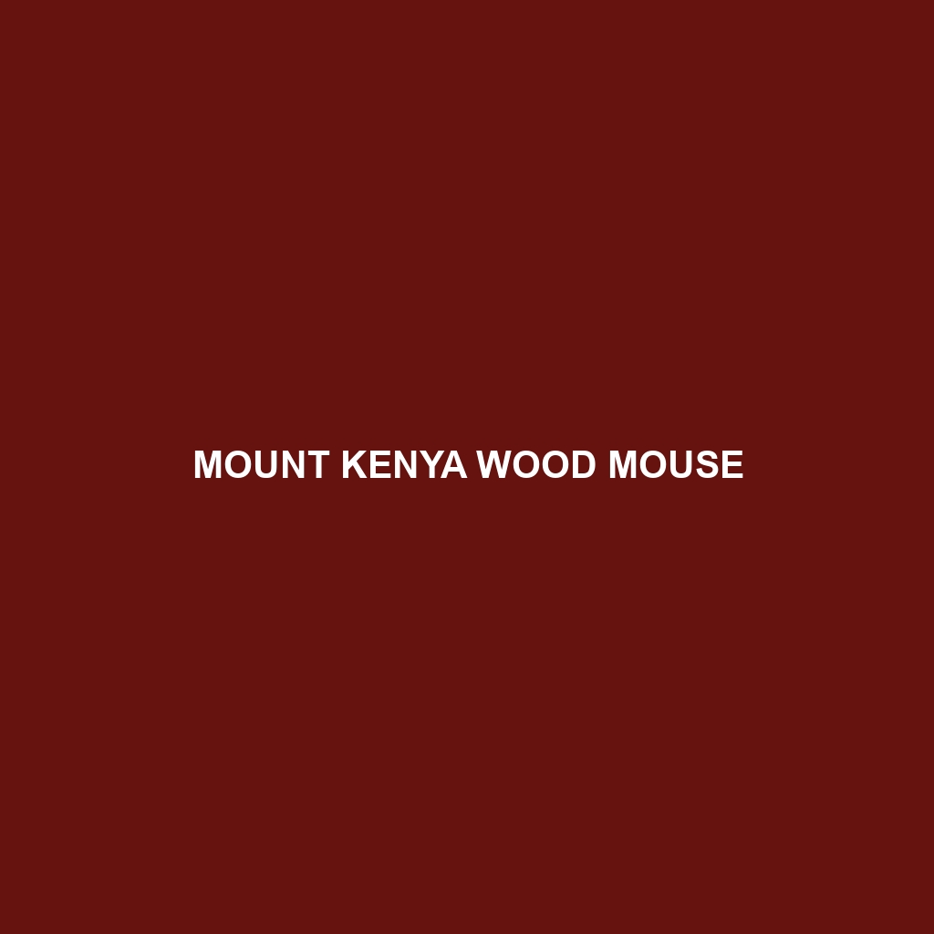 Mount Kenya Wood Mouse