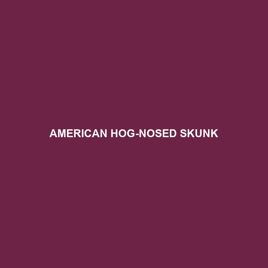 American Hog-nosed Skunk