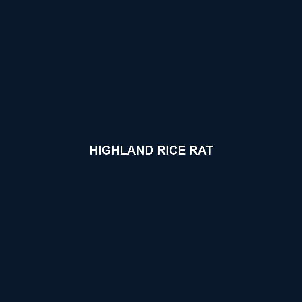 Highland Rice Rat