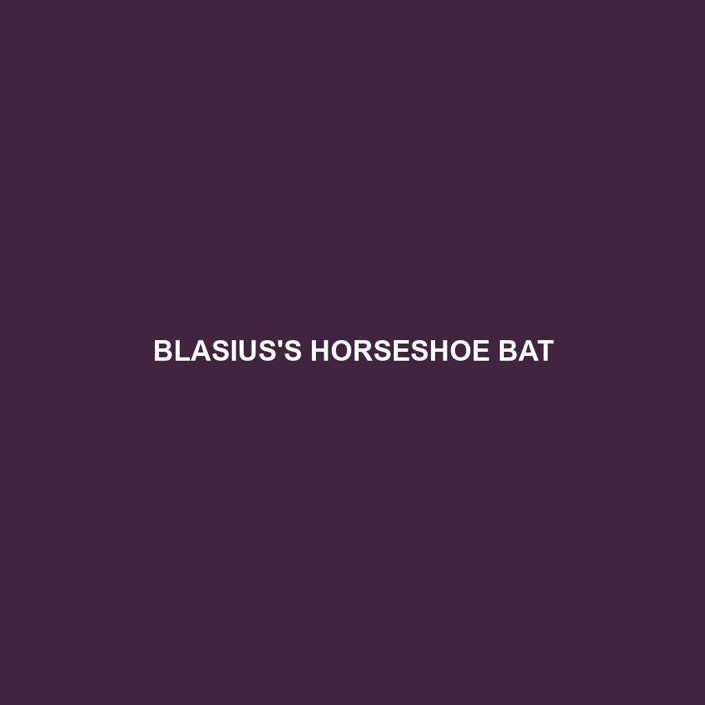 Blasius's Horseshoe Bat