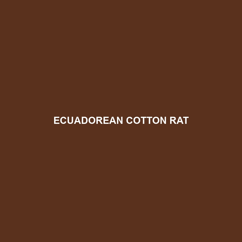 Ecuadorean Cotton Rat