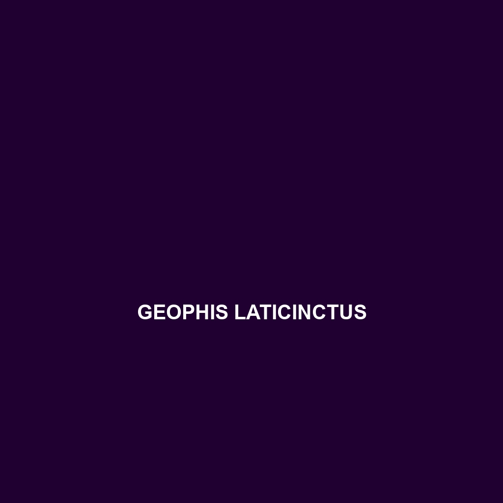 Geophis laticinctus