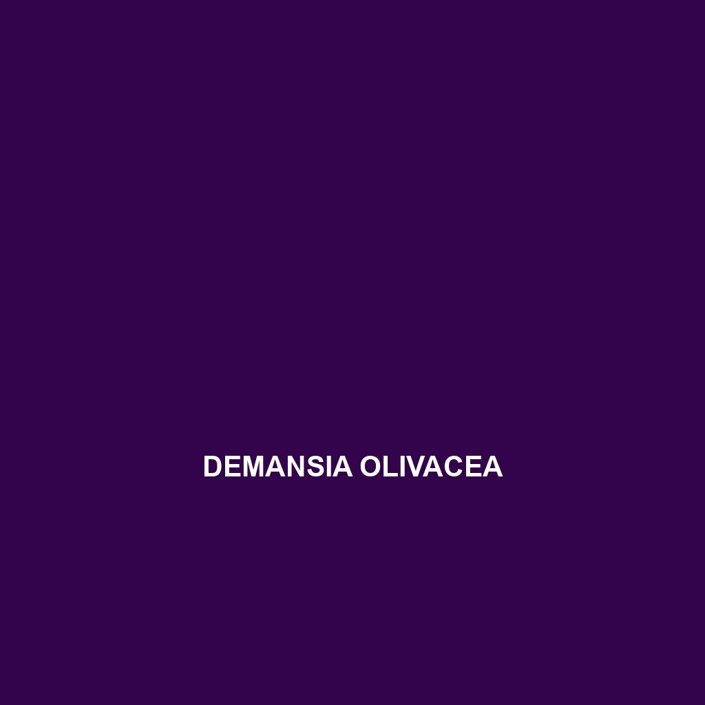 Demansia olivacea