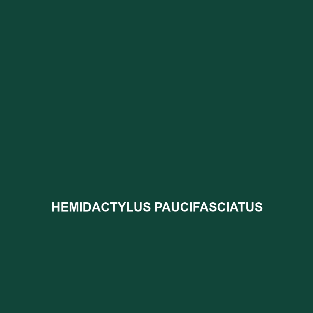 Hemidactylus paucifasciatus