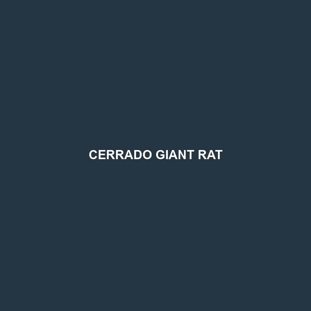 Cerrado Giant Rat