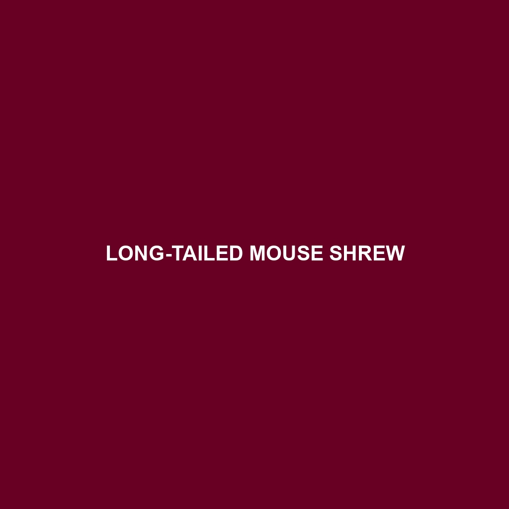 Long-tailed Mouse Shrew